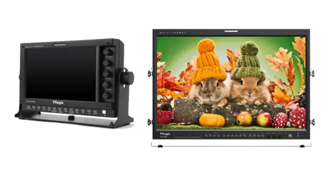 Monitor